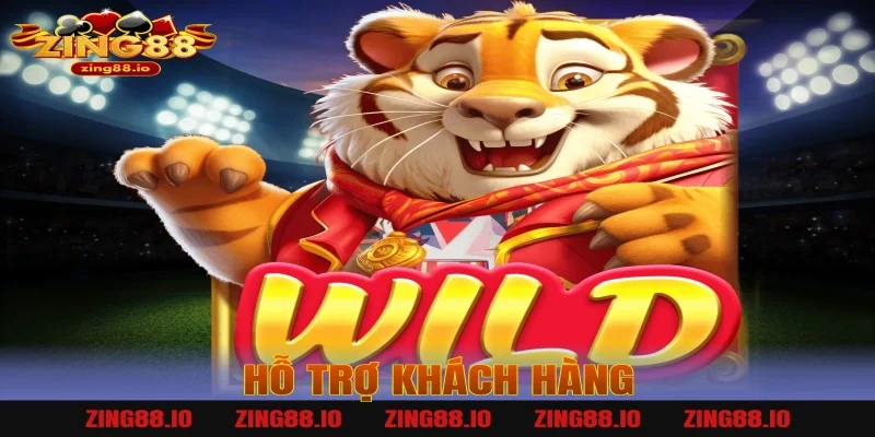 Hỗ trợ khách hàng